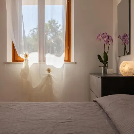 Casa Silvana By Elbasummer * 拉科纳